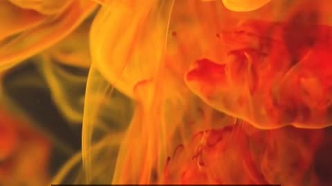 Daily Horoscope | Aquarius 🌟