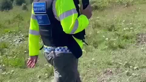 Bogs been invaded throughout Ireland