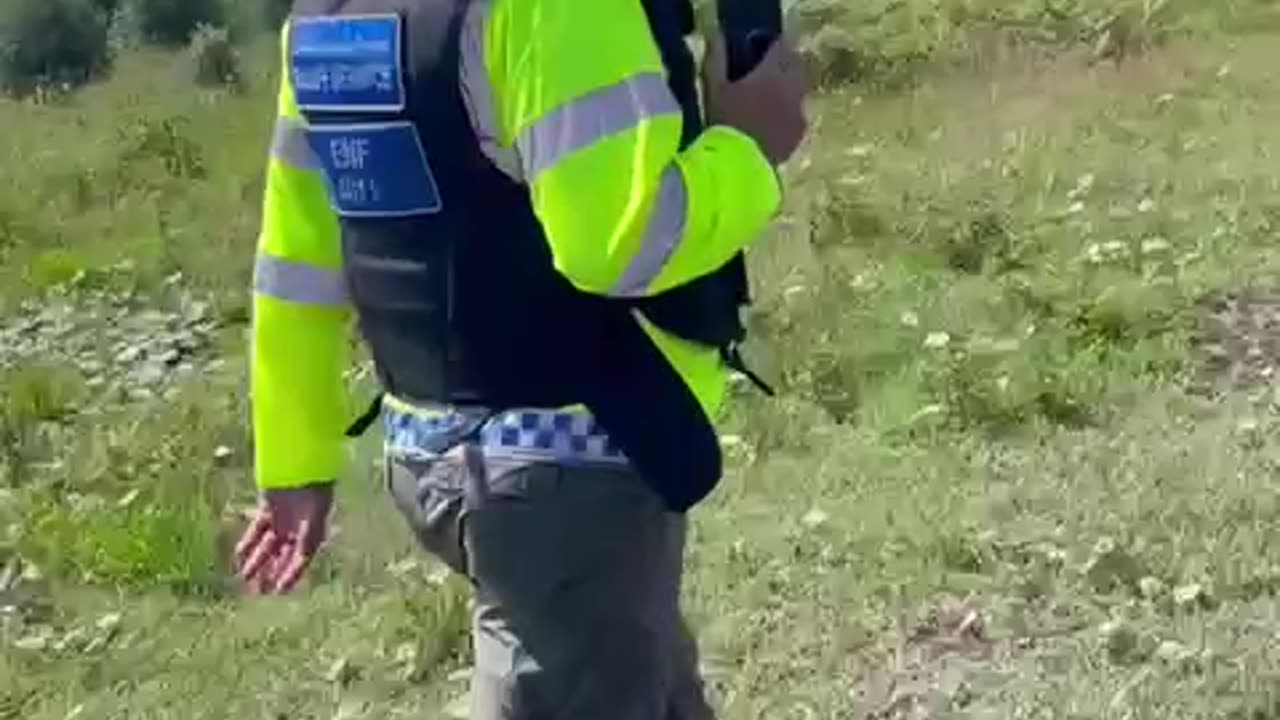 Bogs been invaded throughout Ireland