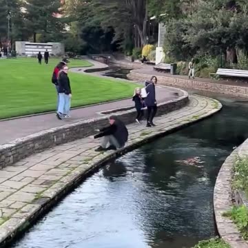 Fallido salto sobre un arroyo termina en chapuzón inesperado