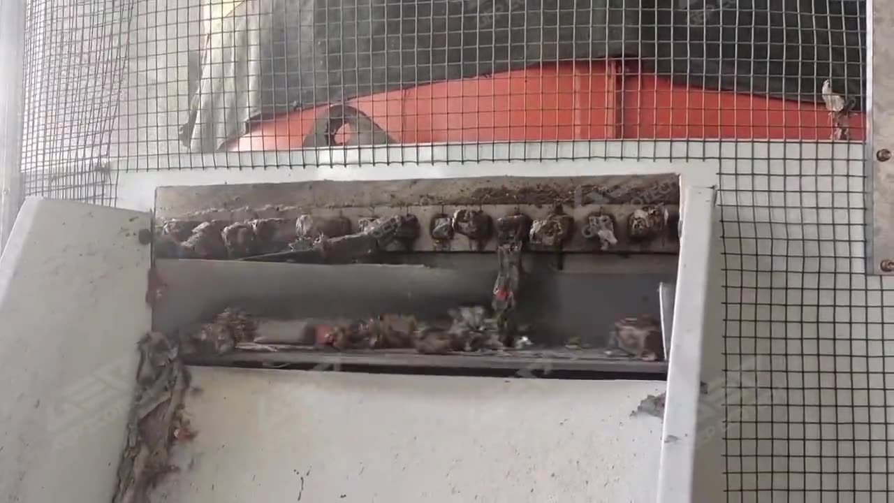 RDF Pellet Mill: Transform Waste into High-Value Solid Fuel