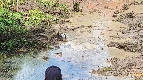 excavator sinks in muddy lake