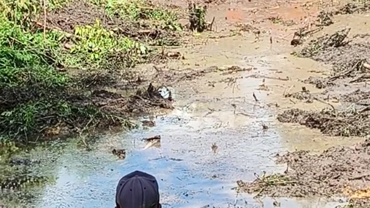 excavator sinks in muddy lake