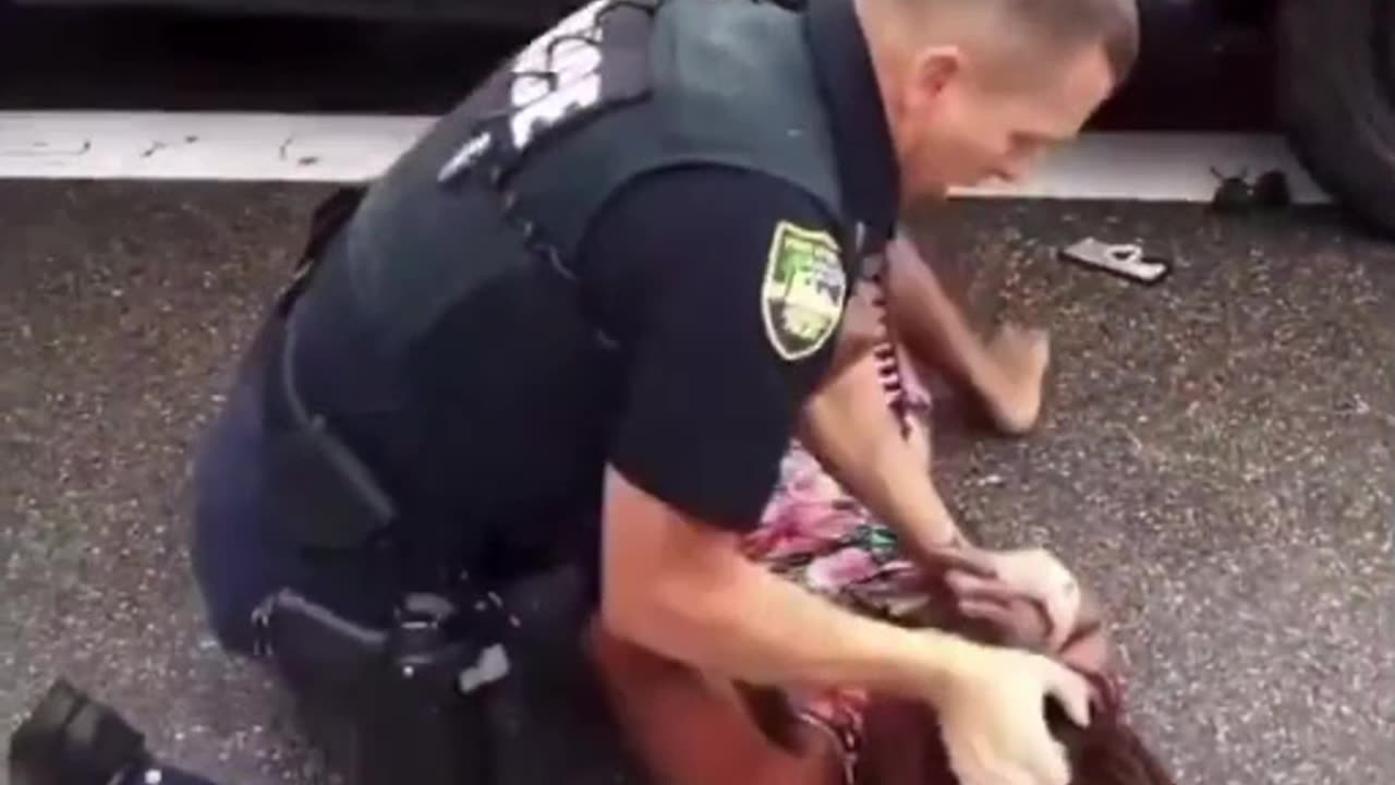 Jacksonville Slave Catcher Slams Woman to Pavement, Punches Her in the Face to Enforce Parking Law