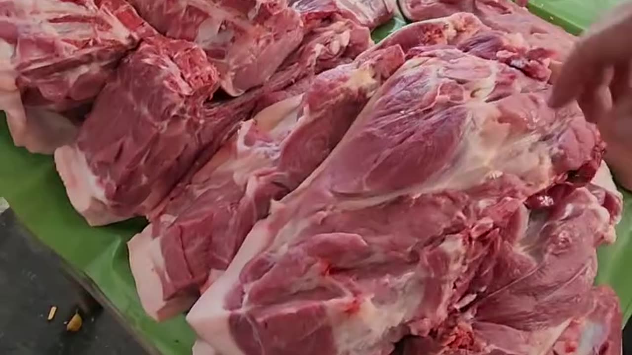 Plantão das Feiras Brasil