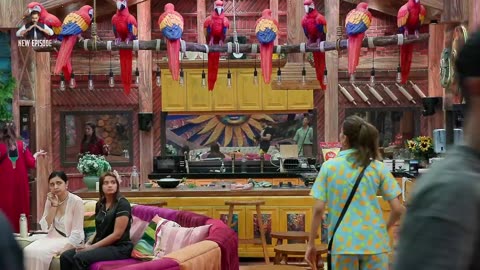 BigBoss 19E6
