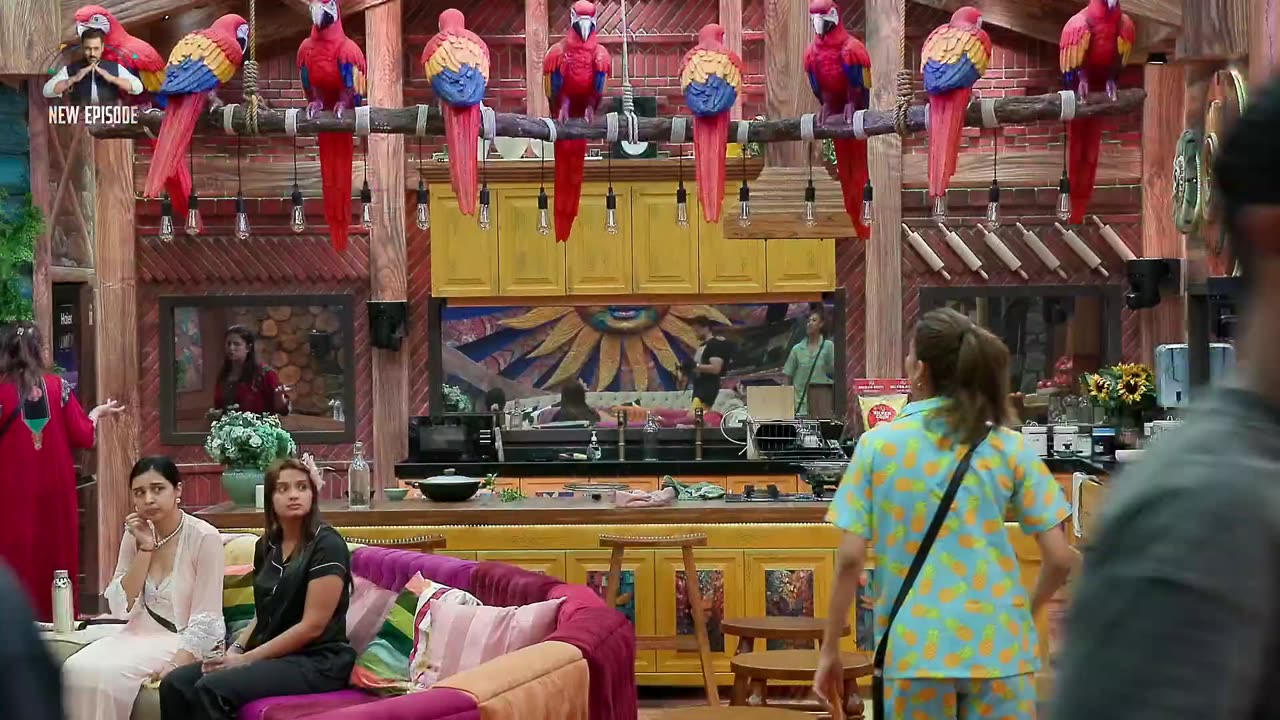 BigBoss 19E6