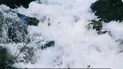 Daily Horoscope | Aquarius 🌟