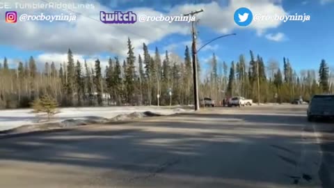 TRANSGENDER BIOLOGICAL MALE JESSE STRANG