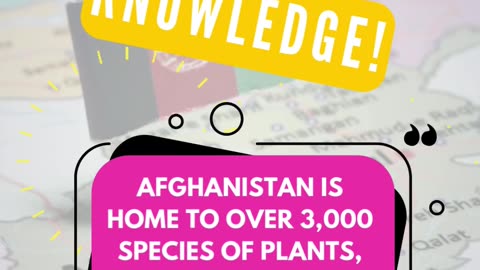 do you know? 🇦🇫 😮