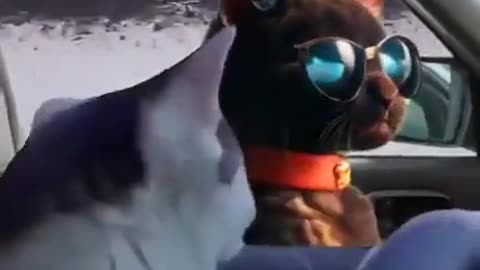 Very funny moments 😄😂😂