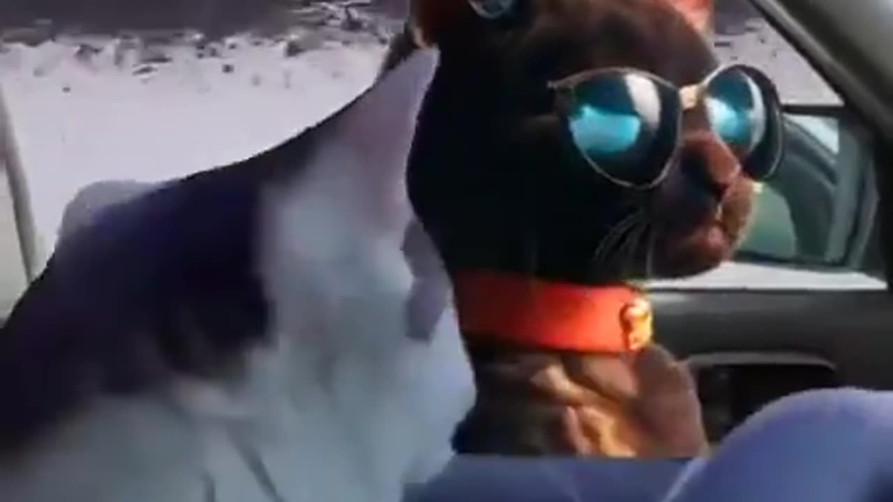 Very funny moments 😄😂😂