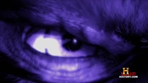 HCTV MonsterQuest - Terror from the Sky