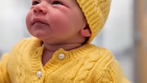 Try Not to Laugh Challenge 14 🤣