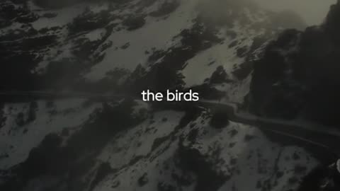 🙏✨ Let’s Pray | A Prayer to Strengthen Your Spirit | InGodWeTrustDaily