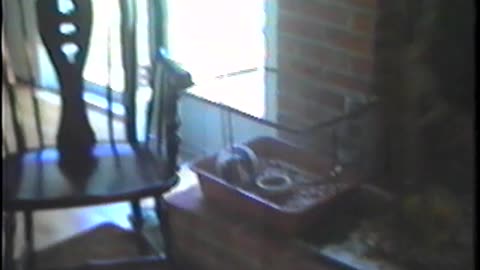 1990-VA-Huvar-inside