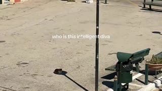 😂🐱 This Cat's Genius Trick Will Blow Your Mind! | FunFM