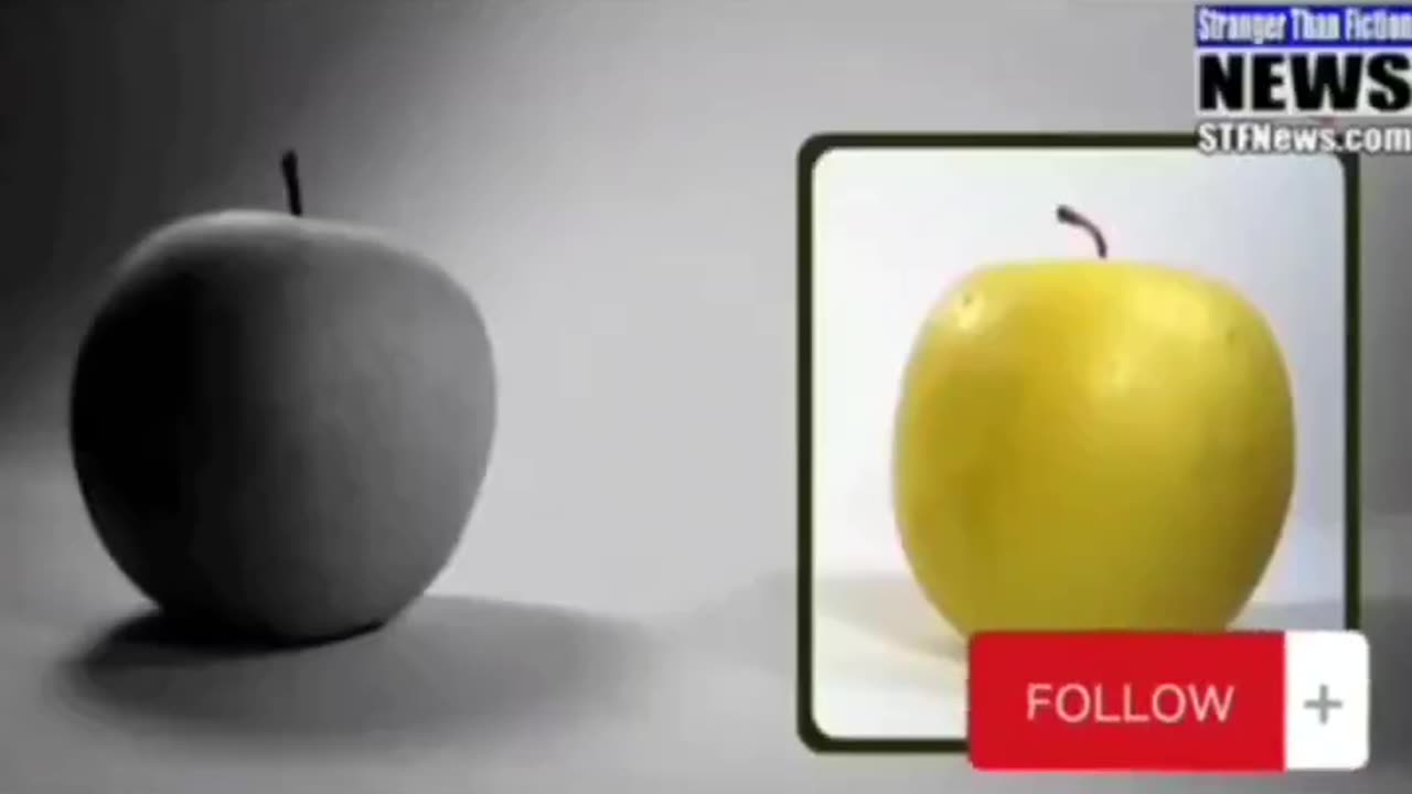 Vegans think you’re Safe? You don’t know about Smart Fresh 🍏