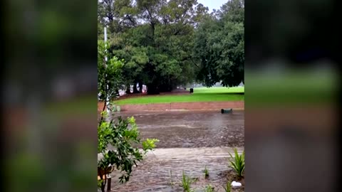 Street near Sydney Fish Market flooded after summer storm