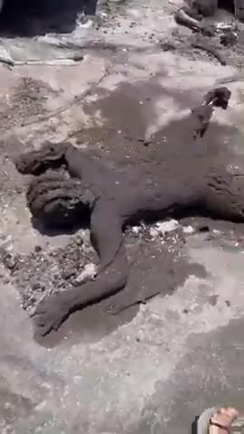 Graphic: This is what people and cars look like after they are hit with a direct energy weapon