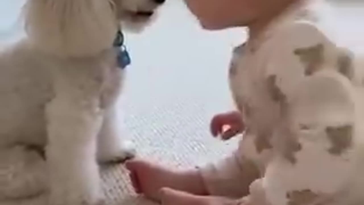 Dog and baby cute moments .u have never seen 😘!