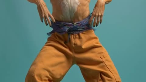 A realistic dog dancing funk with smooth and natural movements