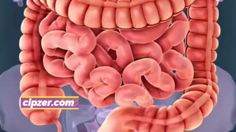 Beat Winter Cough with Honey! 🍯🤧➡️😊