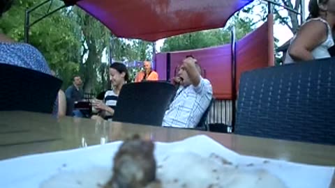 At the concert, and a little wasp comes along to take a bit of the bnkywuv's meat