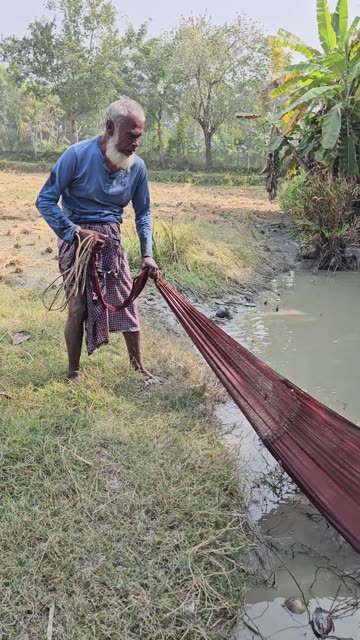 Daily village net fishing