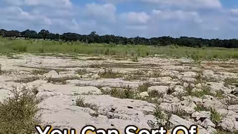 Lakefront properties