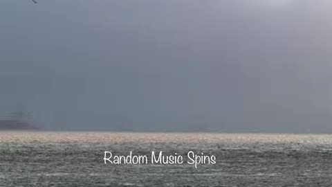 Random Music Spins