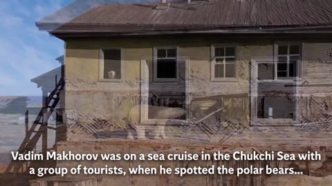 🤯✨ Watch Polar Bears Take Over Abandoned Soviet Research Station! | FeedMyCuriosity