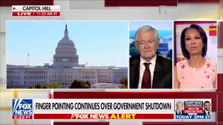 Newt Gingrich Says 'Double Negative Strategy' Of Schumer, Jeffries Will Fail