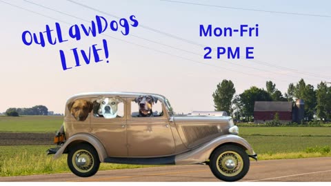 OutLawDogs LIVE! Ep. 128 Happy Gotcha Day, Snoopy!