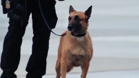 United States Secret Service New Commercial Aired During Super Bowl LIX