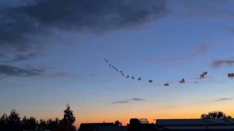 Night demonstration flight of the Polish Su-22M4 at the airshow and a vivid