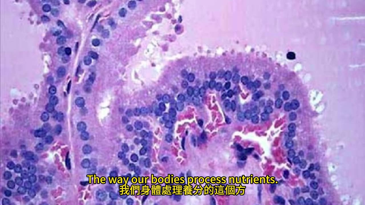 胺基酸代謝基因 甲狀腺癌風險
