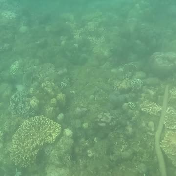 Snorkeling Morning!!