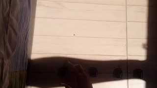 E P I C #Solar Cars Racing #Competition #AeroArduino #games