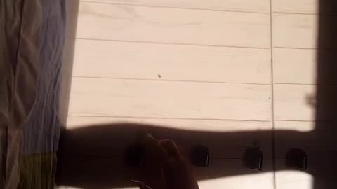 E P I C #Solar Cars Racing #Competition #AeroArduino #games