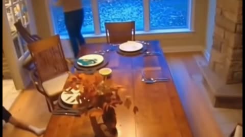 When dinner guests show up uninvited, literally