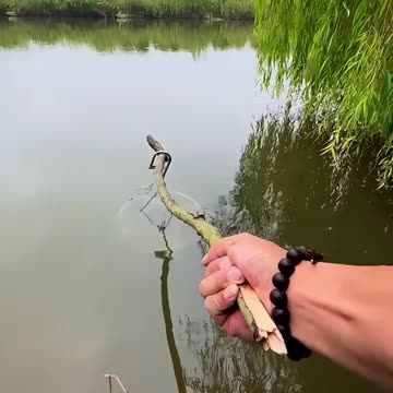 Unique Fishing