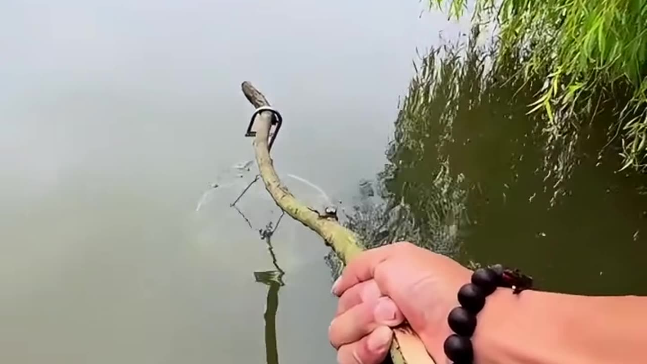 Unique Fishing