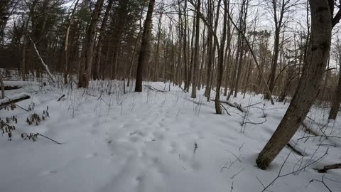 ☃️2025❄️01-27 ❄️ Winter Hiking @ The National Capital Commission Trails In Ottawa🌴 Canada 🍁