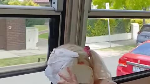 🤬 Rabbi is targeting and harassing a white woman for having Palestinian Flag colors on her bag | I would have replied, that’s what you want me to say to go along with the brainwashing but I know that it NEVER occurred in the first place. 👇🏻