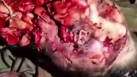 Ukraine war combat footage 10/30/25