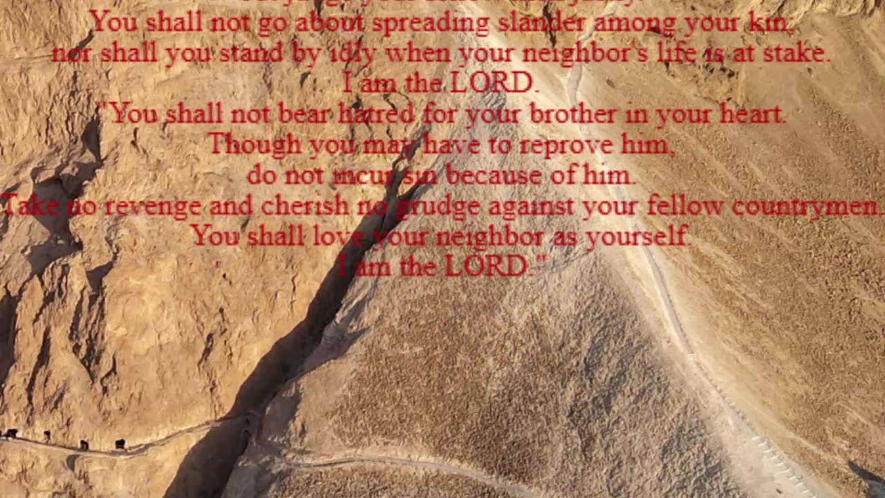 A reading from the book of Leviticus, 19:1-2, 11-18