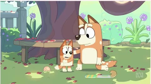 (Bingo's Big Girl Bark along with her mum Chilli to practice three times)