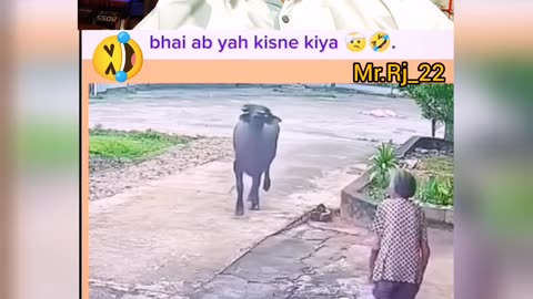 Bhai ye kisne kiya