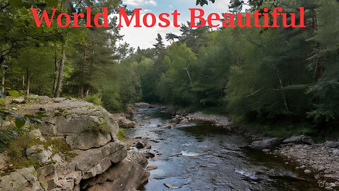 World Most Beautiful Crystal Clear Stream - Relaxing Nature Live 24/7